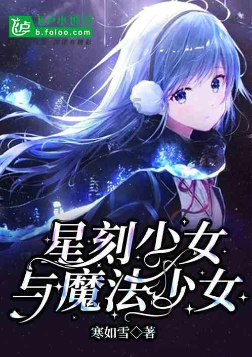 流星蝴蝶剑